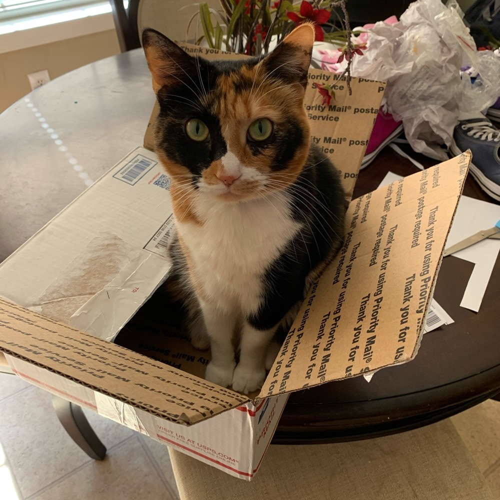 Meet your Posher, Madison